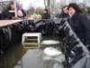 dsc03242_small.jpg